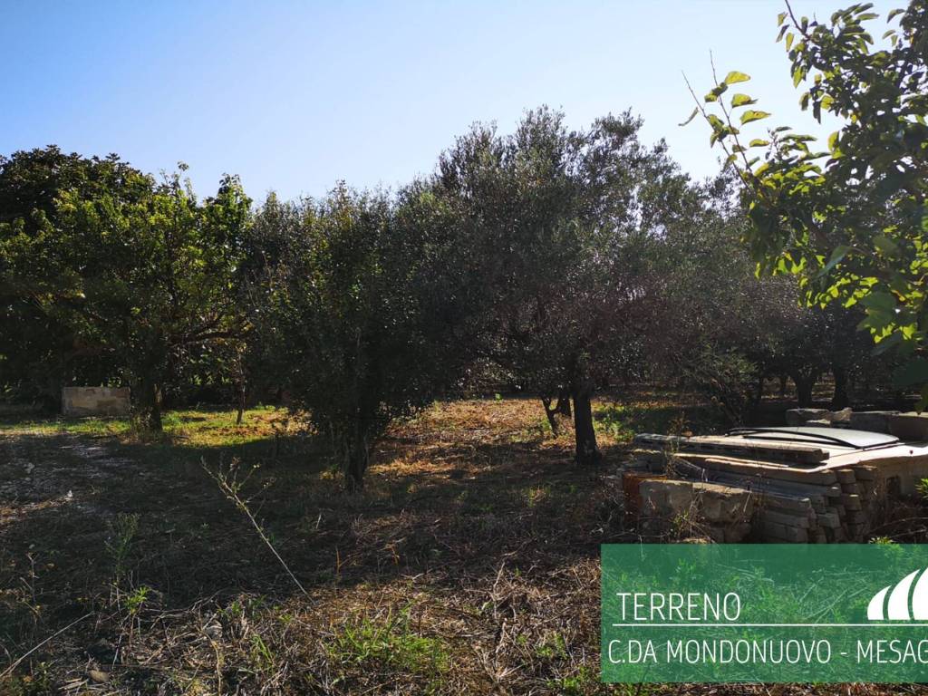 Terreno a Mesagne - Foto 2