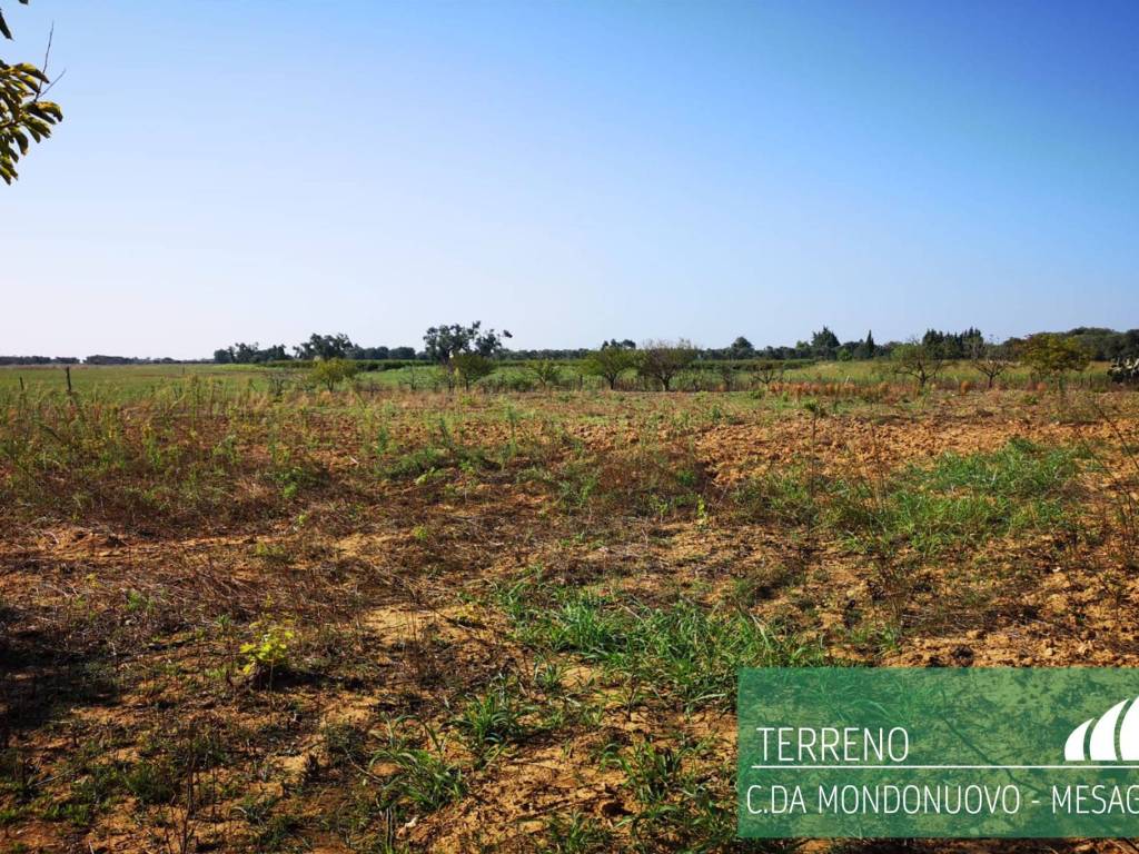 Terreno a Mesagne - Foto 3