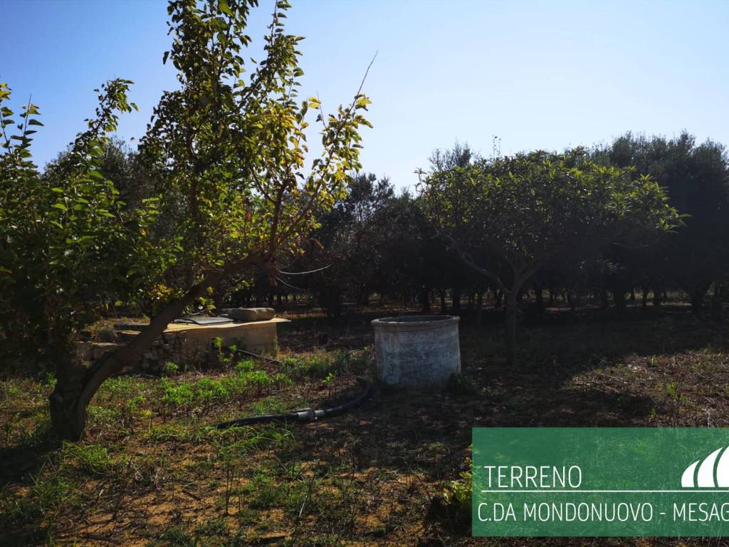 Terreno a Mesagne - Foto 4