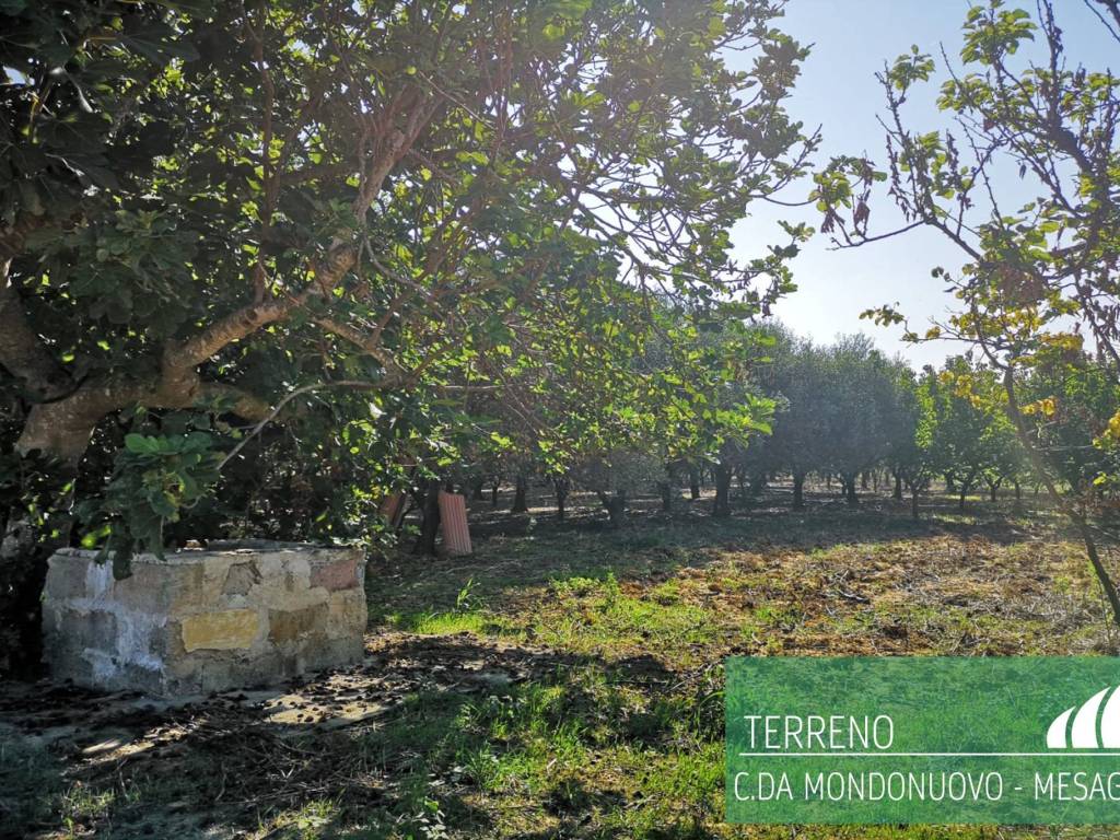 Terreno a Mesagne - Foto 5