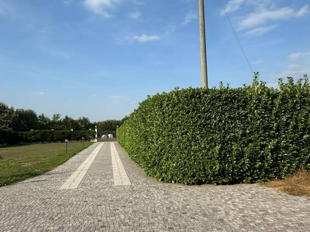Casa indipendente a Peveragno - Foto 2