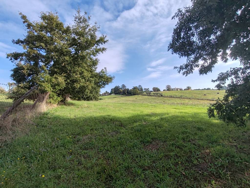 Terreno a Bracciano in Via Baglione - Foto 3