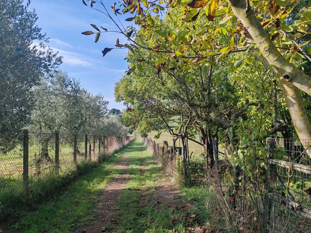 Terreno a Bracciano in Via Baglione - Foto 5