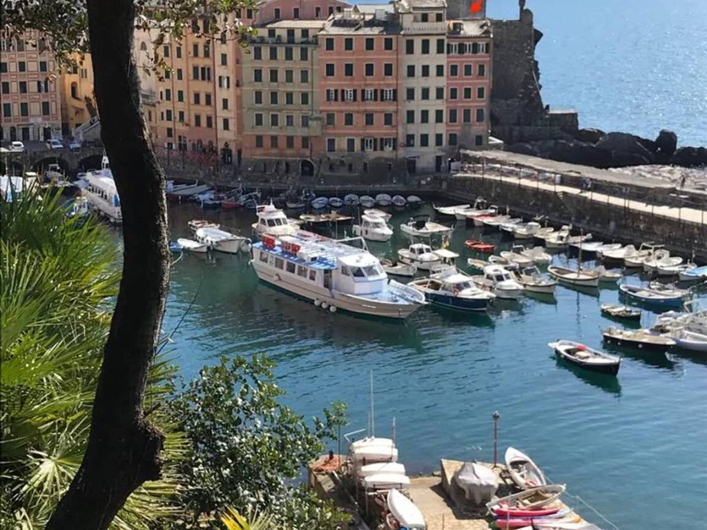 Appartamento a Camogli in Via Isola, 10 - Foto 4