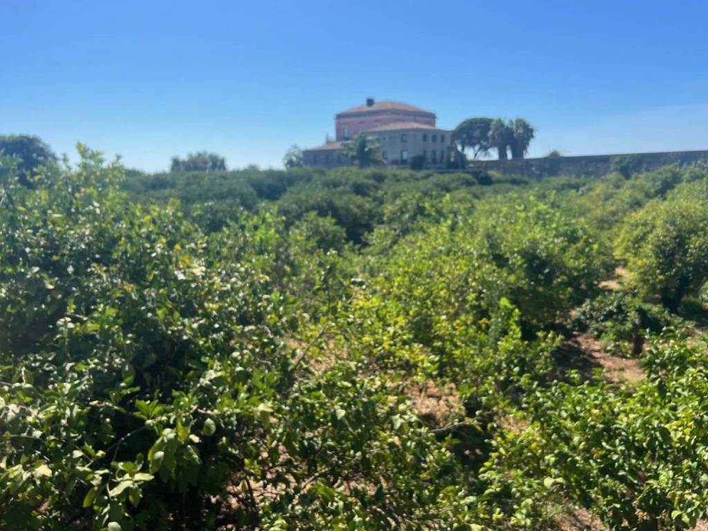 Terreno a Santa venerina - Foto 3