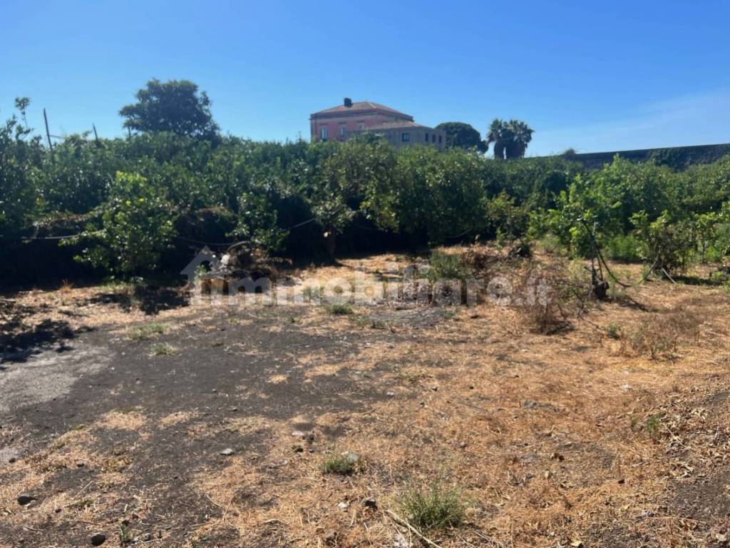 Terreno a Santa venerina - Foto 4