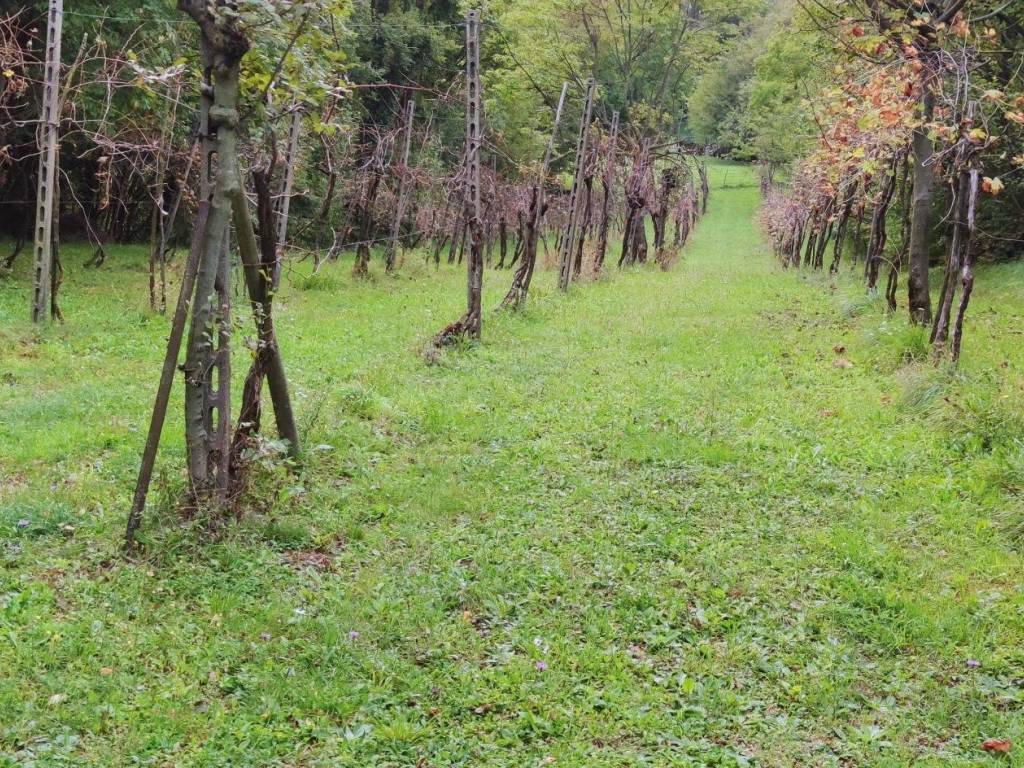 Villa a Castelgomberto in Via Capovilla - Foto 3