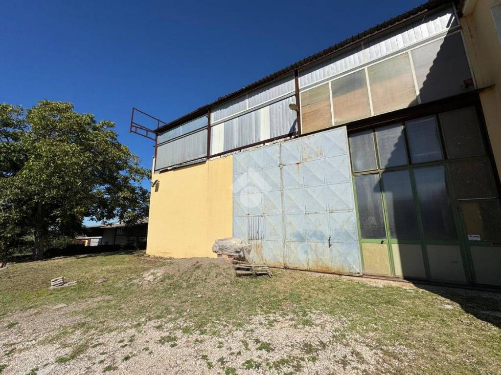 Immobile a Ariccia in Via Campoleone, 14 - Foto 3