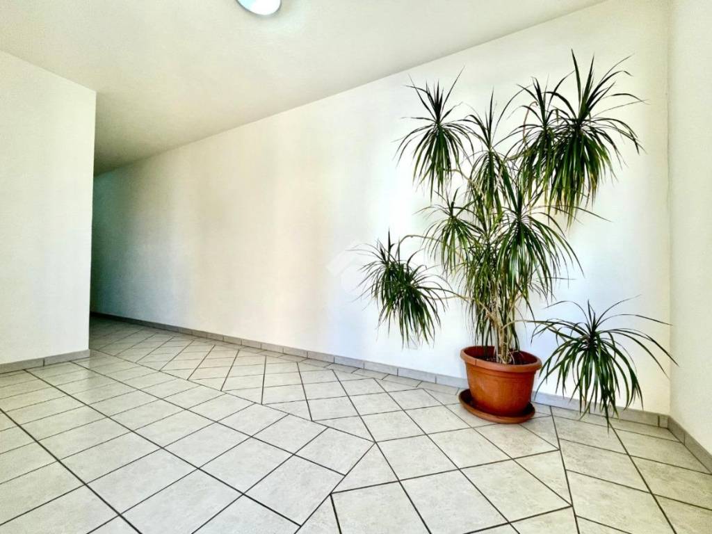 Appartamento a Nuoro in Via Ichnusa, 6 - Foto 3