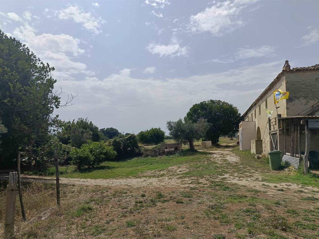 Rustico / casale a Massignano - Foto 4