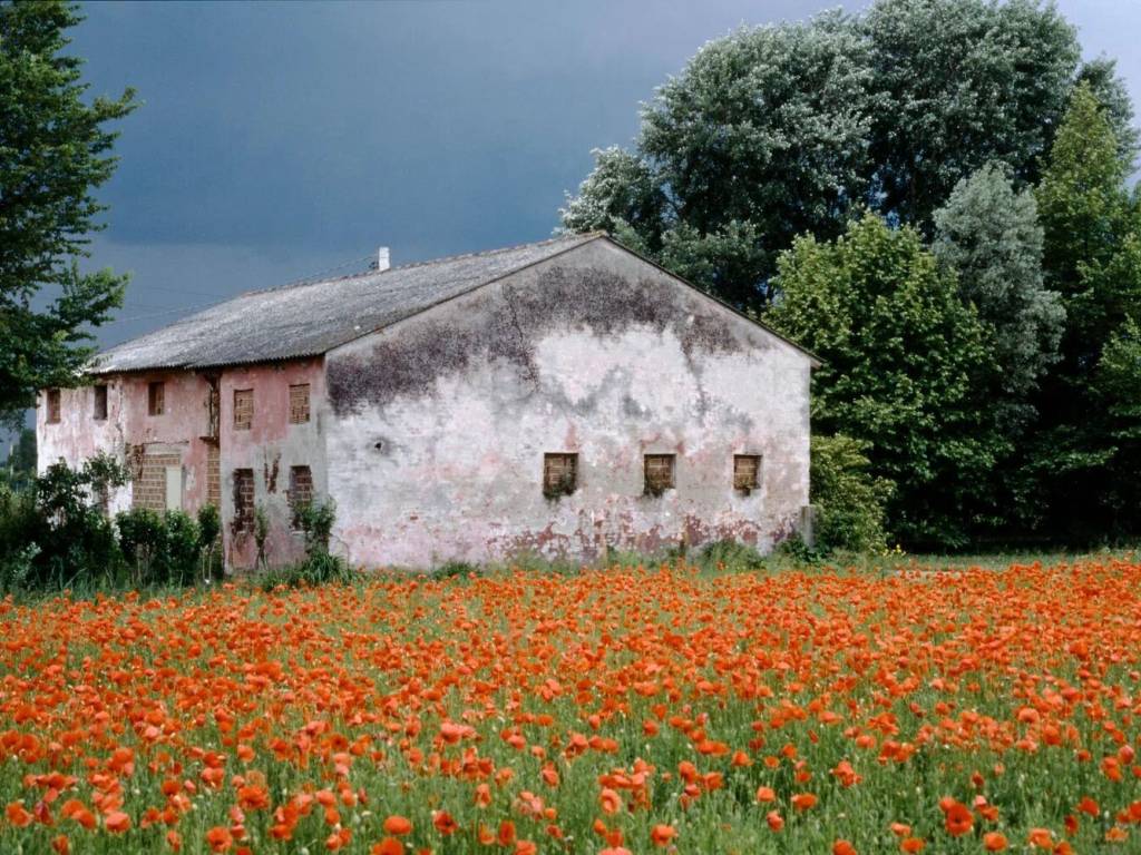 Rustico / casale a Loreggia in Via Carpane, 47 - Foto 3