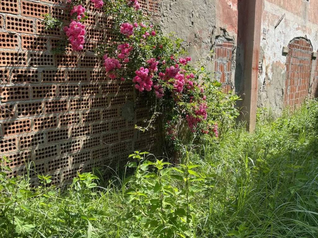 Rustico / casale a Loreggia in Via Carpane, 47 - Foto 5