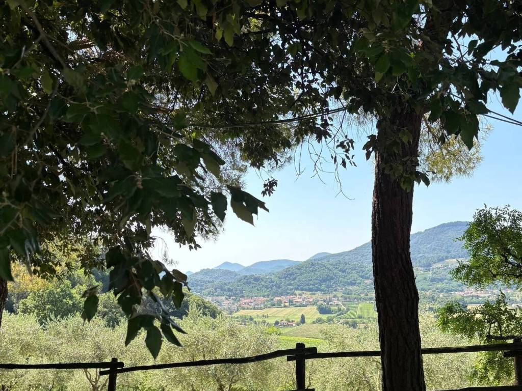 Villa a Torreglia in Piazza Capitello, 5 - Foto 3