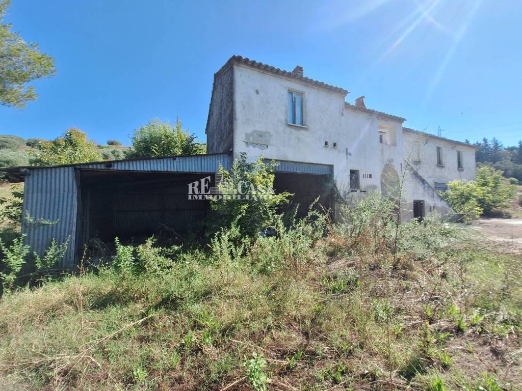 Rustico / casale a Monsampolo del tronto in contrada Collelungo - Foto 3