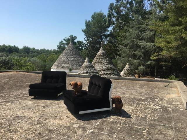 Rustico / casale a Ostuni in contrada montesasso - Foto 4