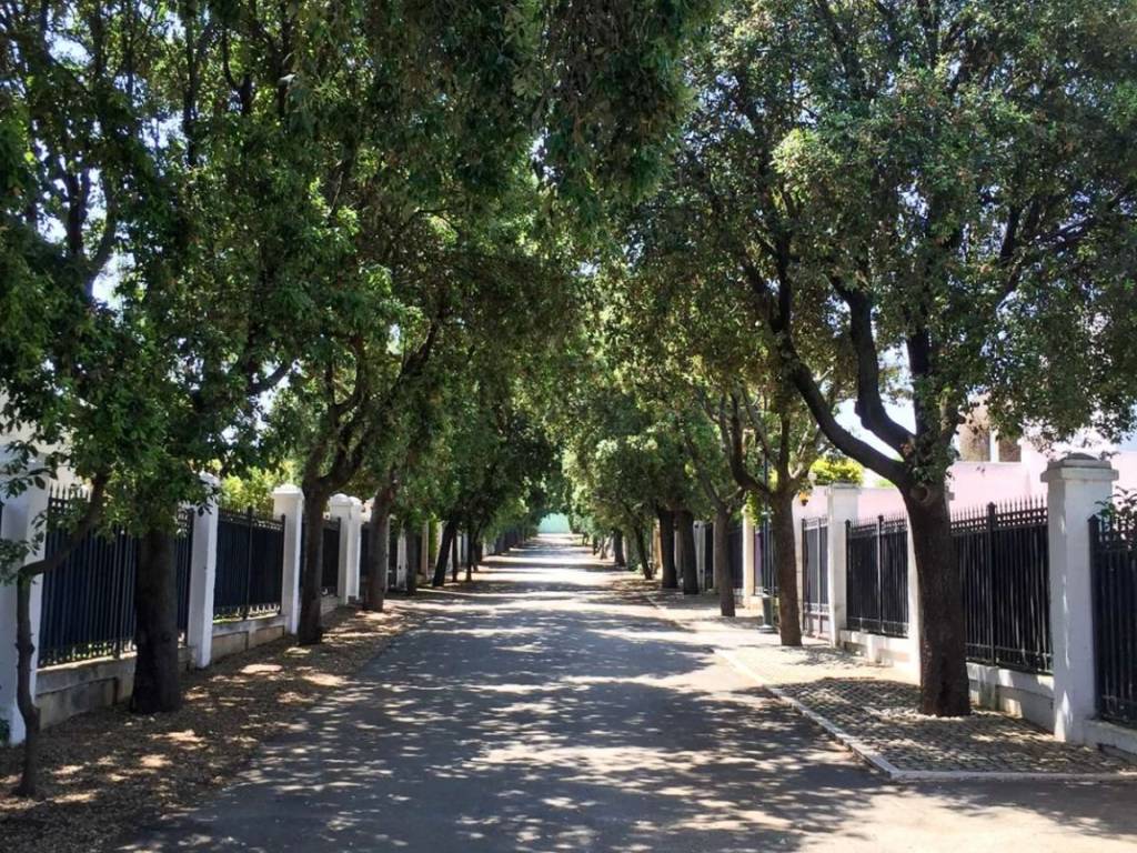 Villa a Trani in Via Capirro I - Foto 5