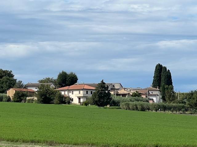 Villa a Montefalco in Vigliano - Foto 3