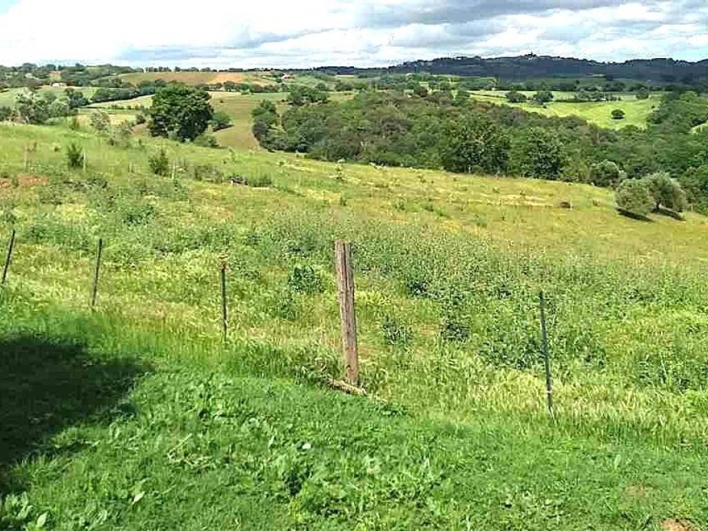 Terreno a Campagnatico in ZONA MONTORSAIO COMUNE CAMPAGNATICO - Foto 4