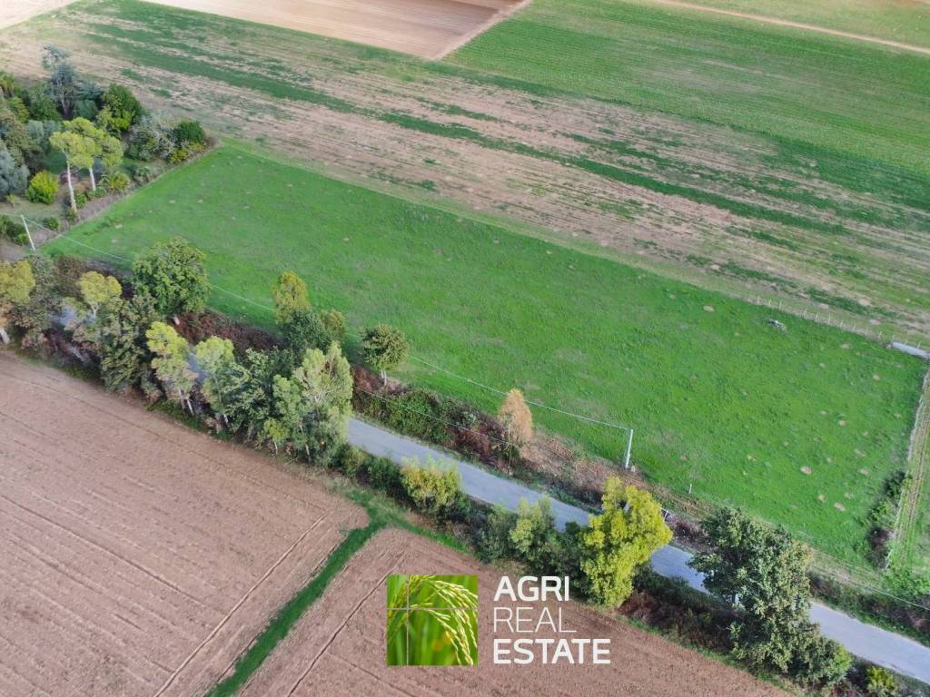 Terreno a Sabaudia in Strada della Tartaruga, 454 - Foto 3