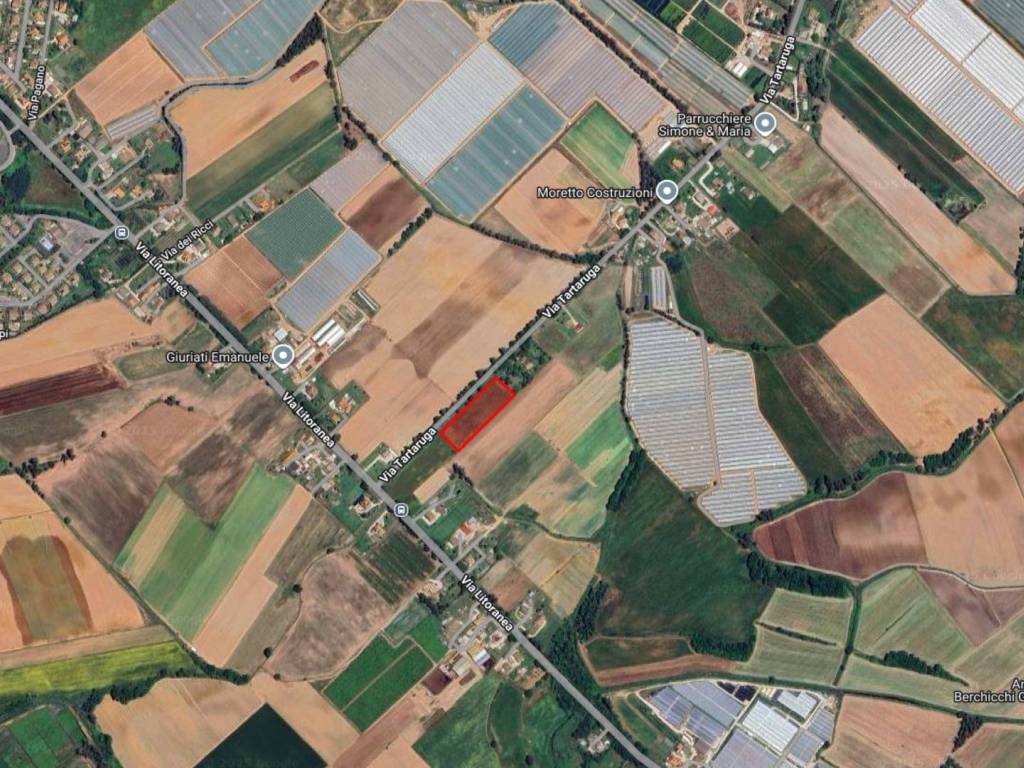 Terreno a Sabaudia in Strada della Tartaruga, 454 - Foto 5