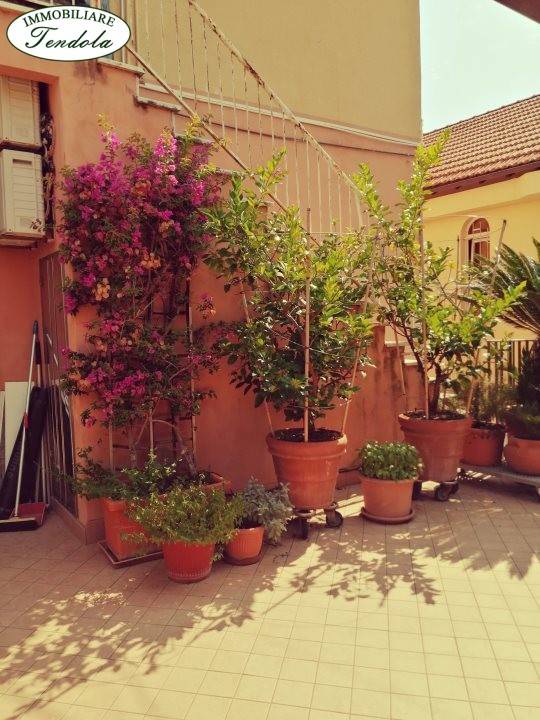 Casa indipendente a Ameglia - Foto 2