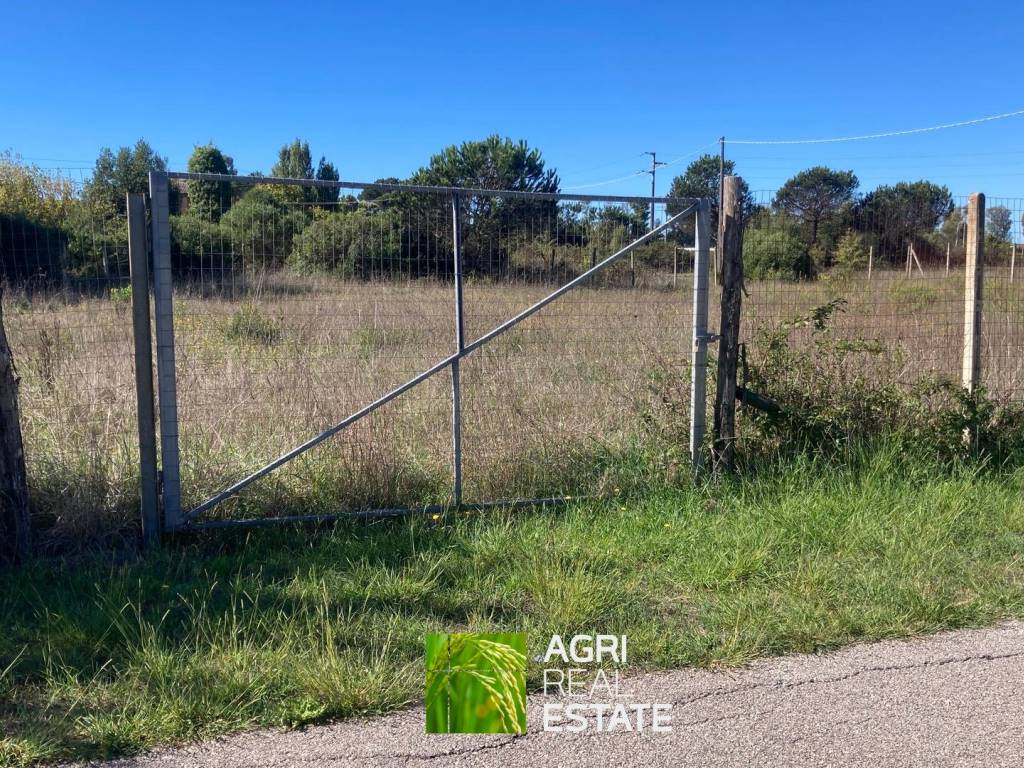 Terreno a Sabaudia in Via Migliara 49 - Foto 2