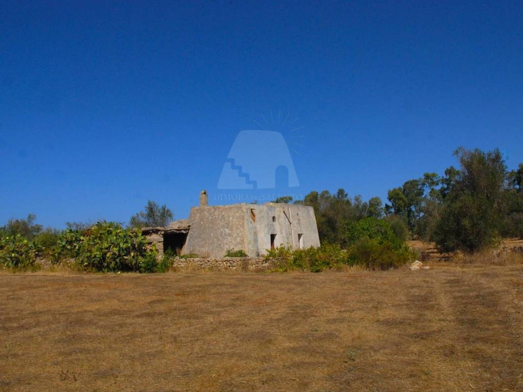 Rustico / casale a Presicce-acquarica in SP325 - Foto 5