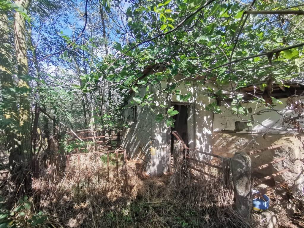 Terreno a Cerveteri in Via Giovanni Battista Raimondi - Foto 3