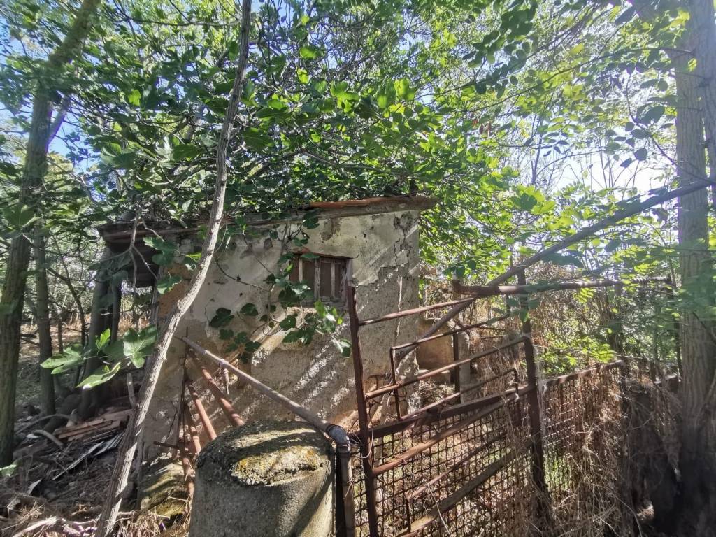 Terreno a Cerveteri in Via Giovanni Battista Raimondi - Foto 4