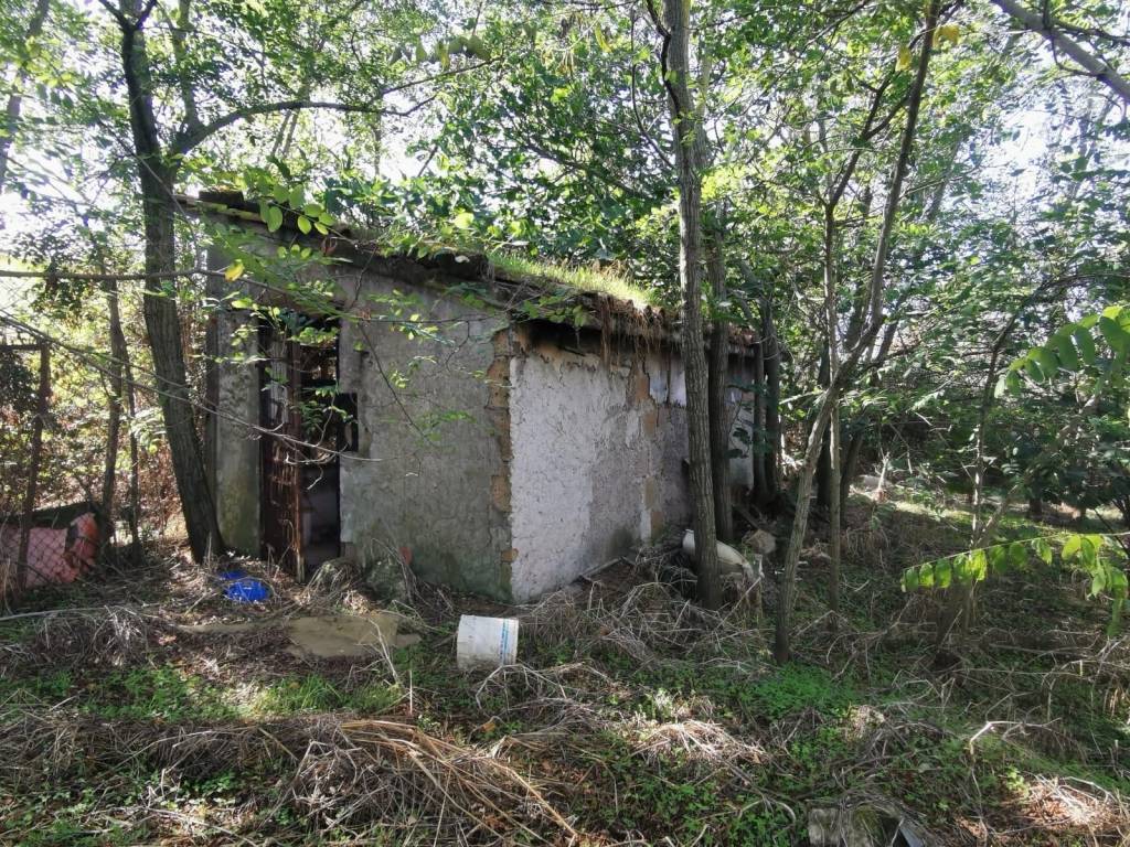 Terreno a Cerveteri in Via Giovanni Battista Raimondi - Foto 5