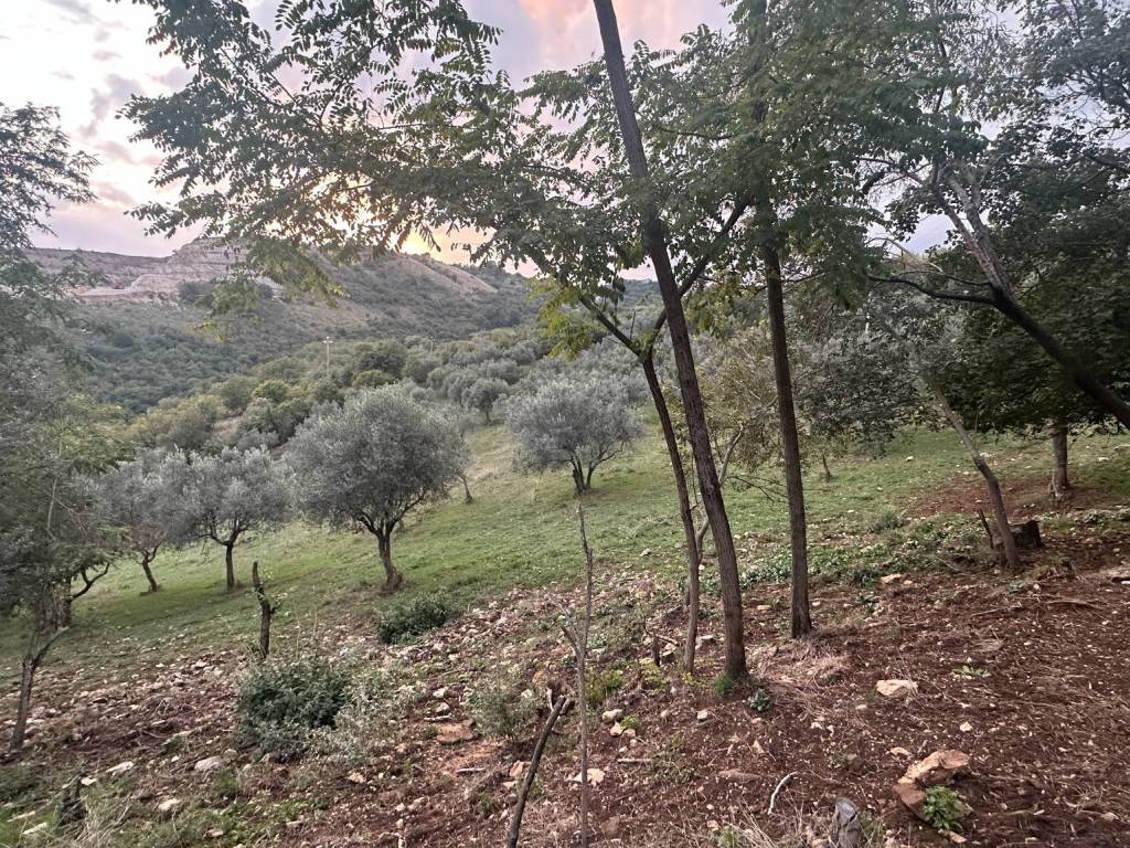 Villa a Anagni in Strada Comunale Romagnano Fontana Valle, 20 - Foto 2