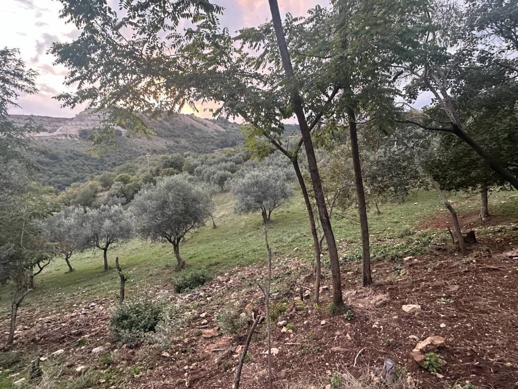 Villa a Anagni in Strada Comunale Romagnano Fontana Valle, 20 - Foto 3