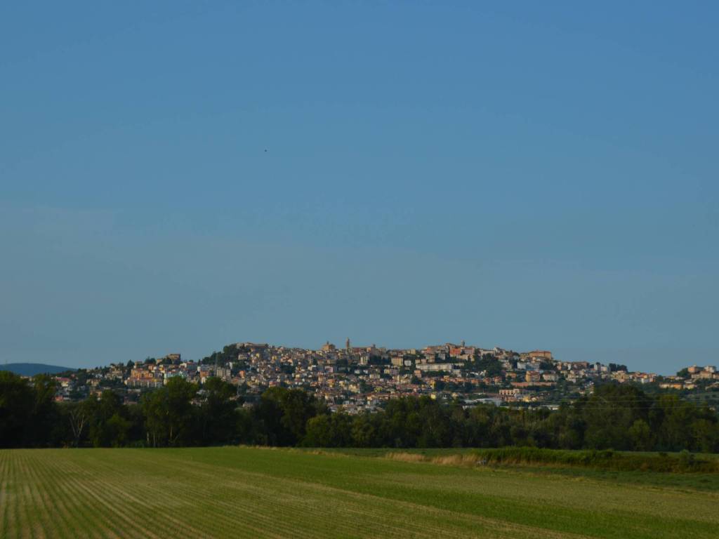 Terreno a Recanati - Foto 3