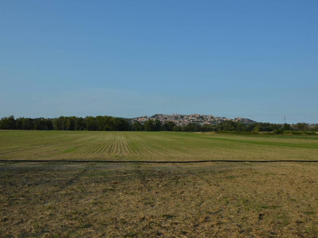 Terreno a Recanati - Foto 5