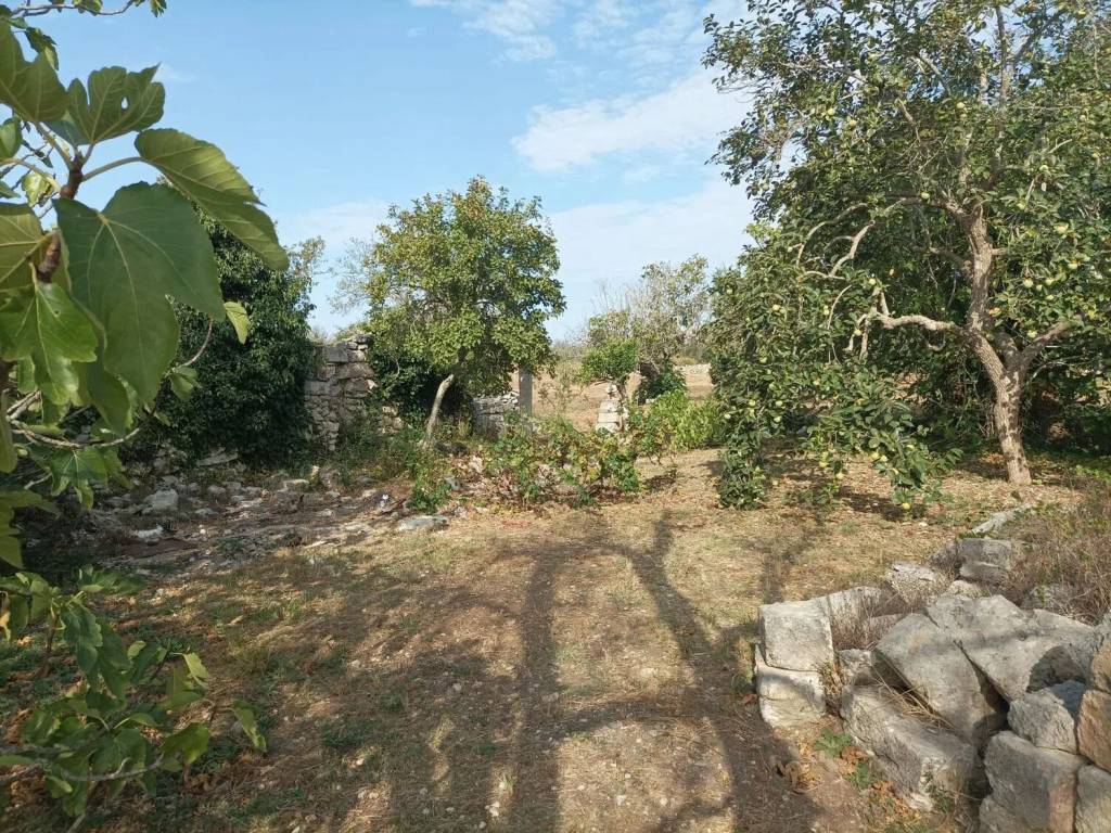 Rustico / casale a Corigliano d'otranto in Via Castrignano No Number - Foto 3