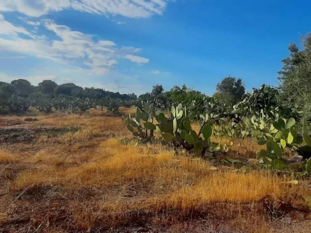 Rustico / casale a Cutrofiano in Via Dei Cotamari, 4 - Foto 4