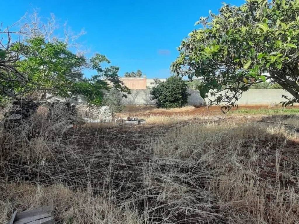 Rustico / casale a Cutrofiano in Via Dei Cotamari, 4 - Foto 5