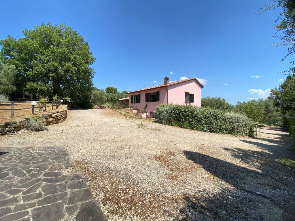 Rustico / casale a Magliano in toscana - Foto 5