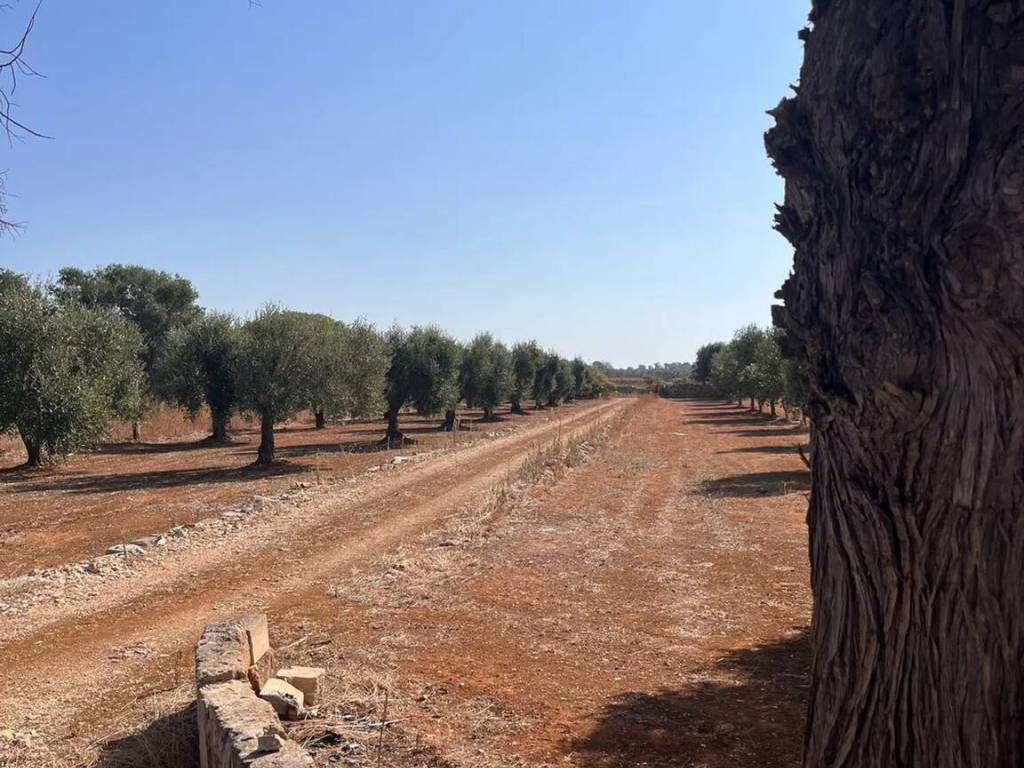 Terreno a Sava in Strada Trullo Lungo No Number - Foto 2