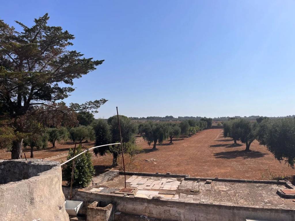 Terreno a Sava in Strada Trullo Lungo No Number - Foto 3