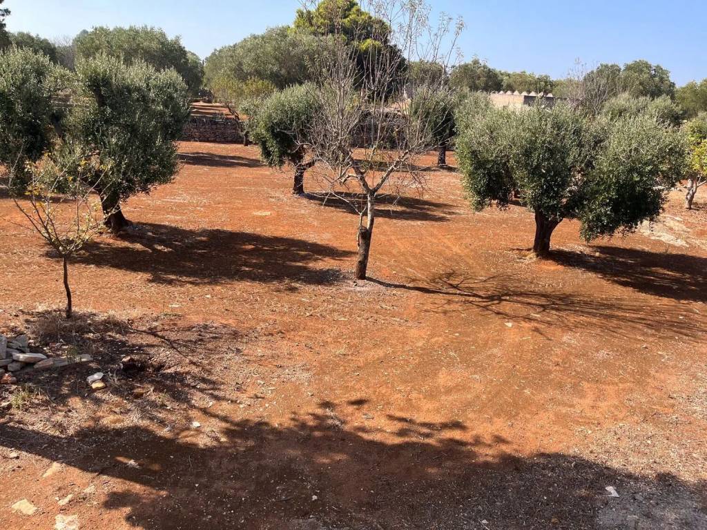 Terreno a Sava in Strada Trullo Lungo No Number - Foto 4