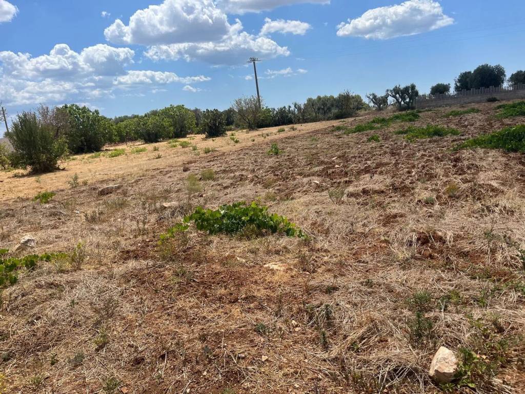 Terreno a Sava in Via Capri - Foto 3