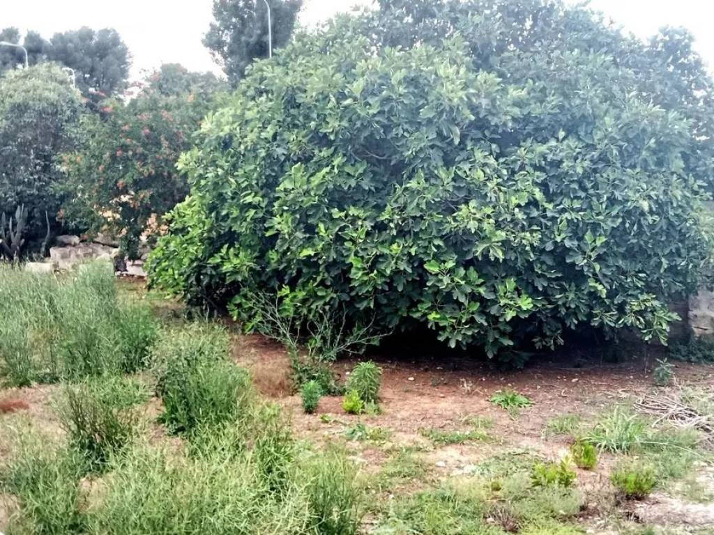 Terreno a Monteroni di lecce in Via Gianlorenzo Bernini No Number - Foto 5