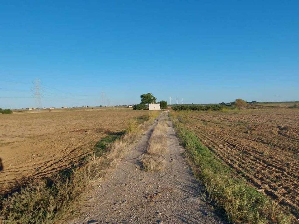 Villa a Brindisi in Contrada Palmarini - Foto 4
