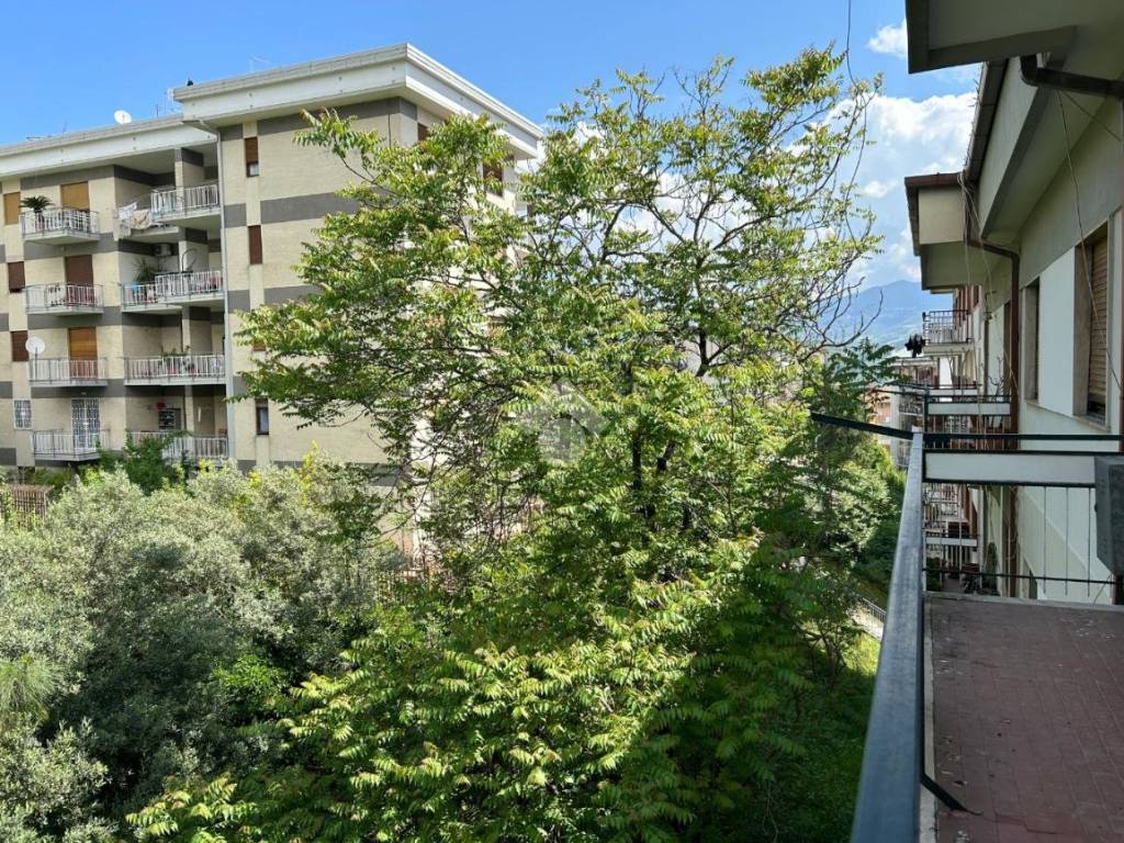 Appartamento a Cosenza in Piazza Maurizio Quintieri, 7 - Foto 5