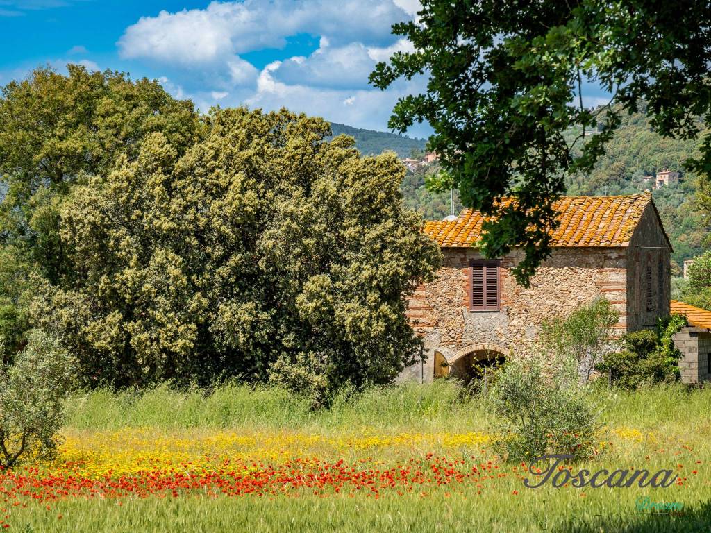 Rustico / casale a Massa marittima in Strada Provinciale Accesa - Foto 4