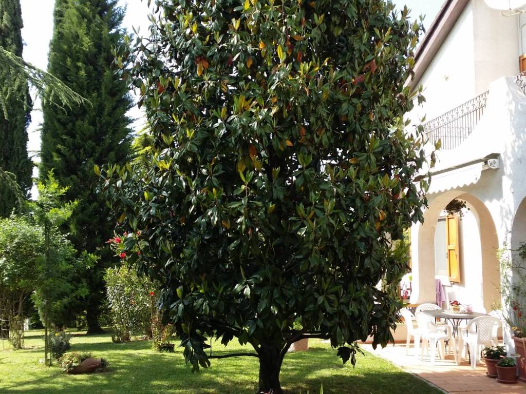 Villa a Pollenza - Foto 3