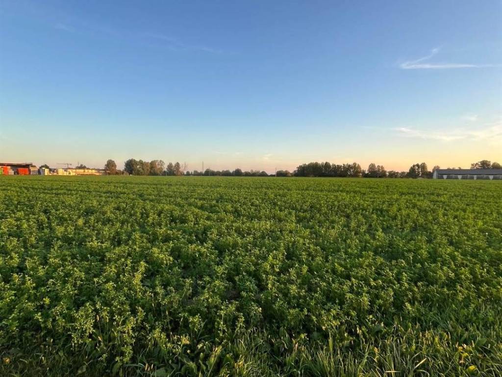 Terreno a Pegognaga - Foto 2