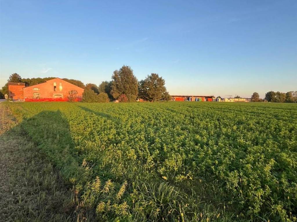 Terreno a Pegognaga - Foto 3