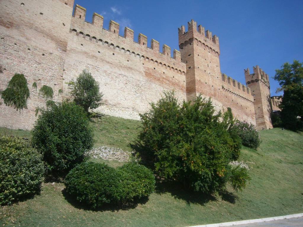 Terreno a Gradara - Foto 2